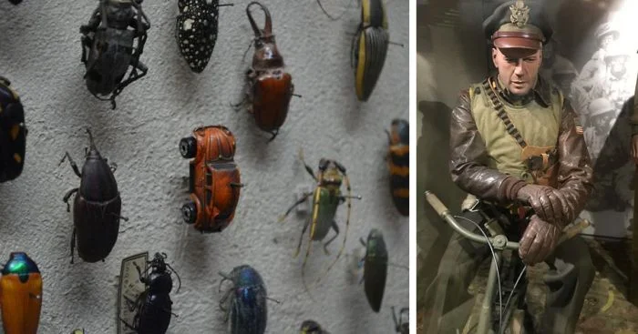 Самые необычные музеи мира: 35 мест и их интересные экспонаты