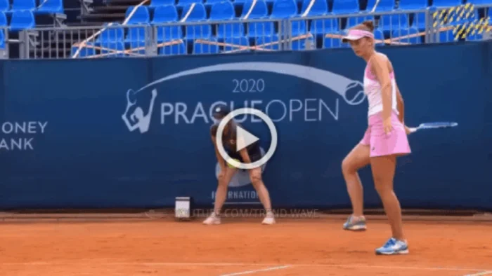 Свежие Гифки