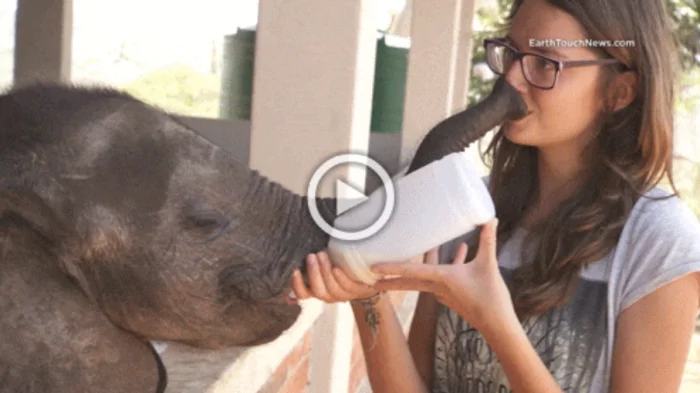 Свежие гифки