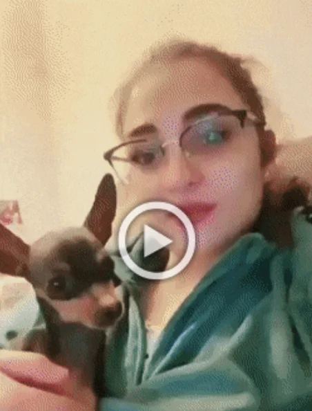 Отличные гифки