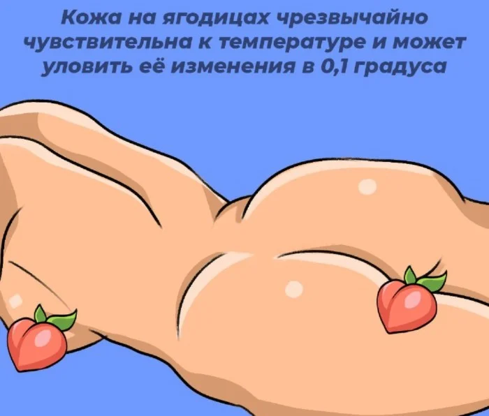 Сексуальная правда: 10 фактов, которым не научат в школе #2