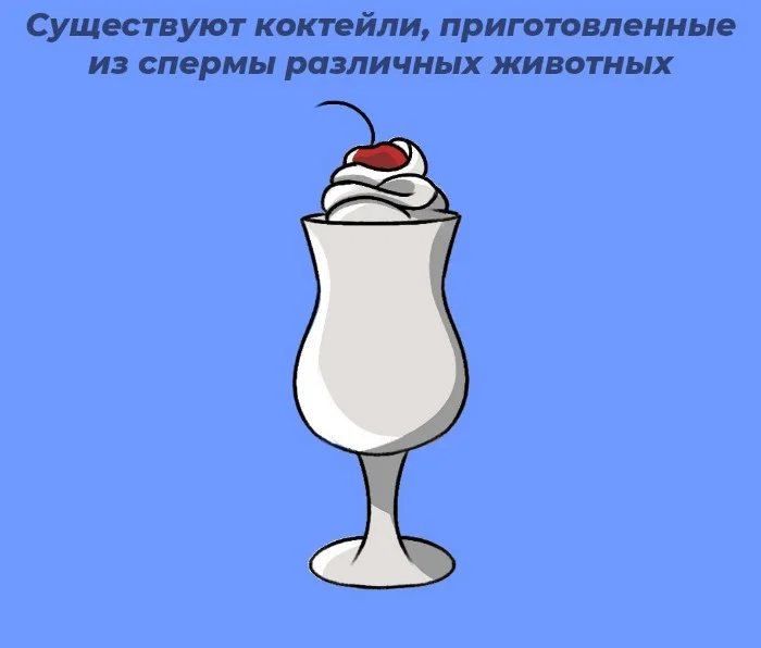 Сексуальная правда: 10 фактов, которым не научат в школе #5