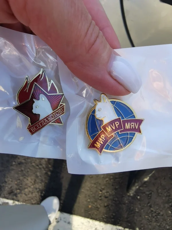 25 забавных брошей с котами