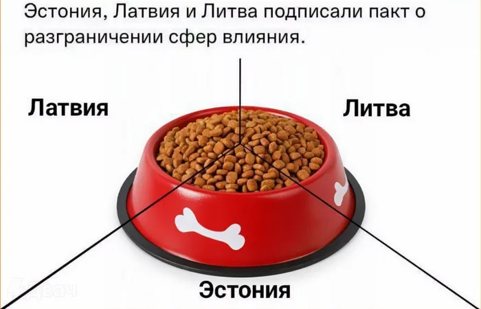 Передел мирового порядка в 2024 году