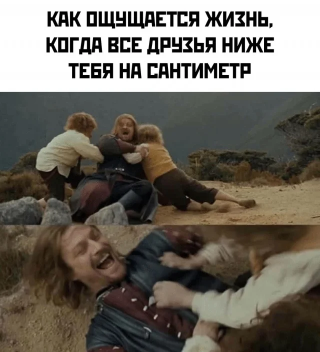 Весело, смешно, прикольно - картинки дня