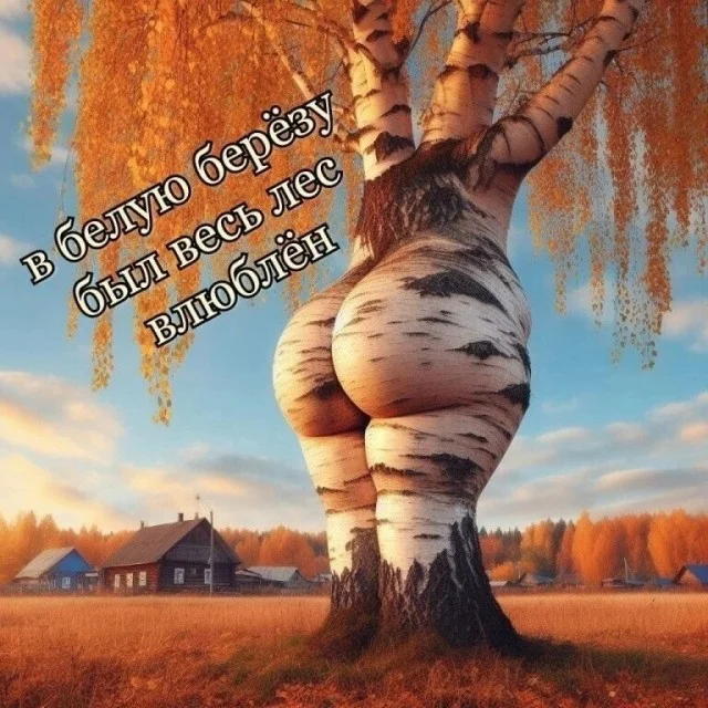 Разнообразные прикольные картинки