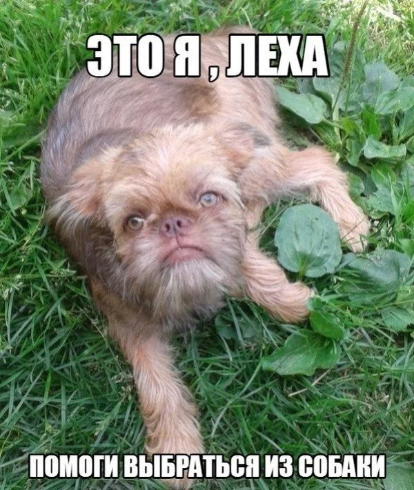 Картинки что надо