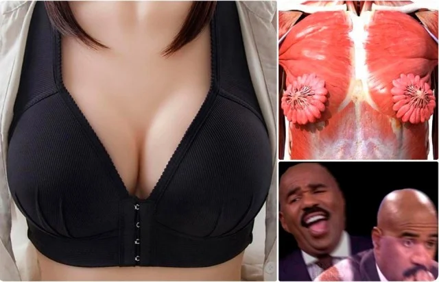 Весело, смешно, прикольно - картинки дня