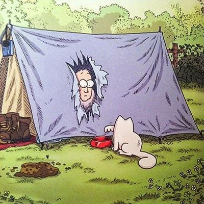 Свежо, смешно и для настроения! Веселые картинки!