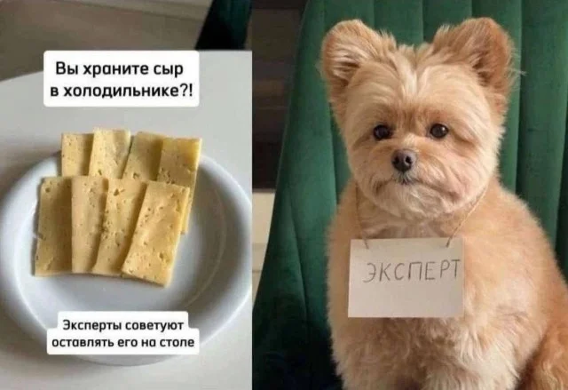 Веселые и смешные картинки
