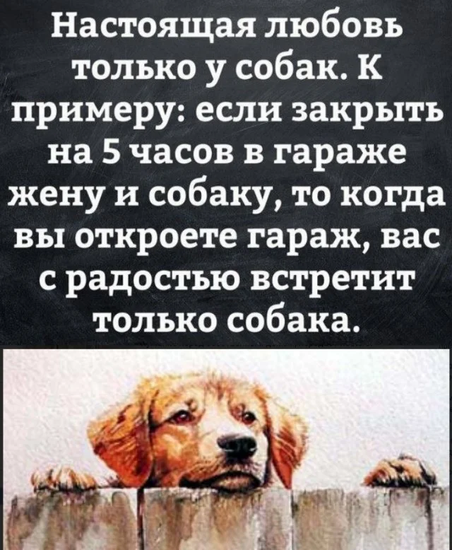 Разные картинки