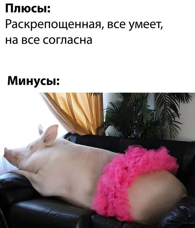 Разные картинки