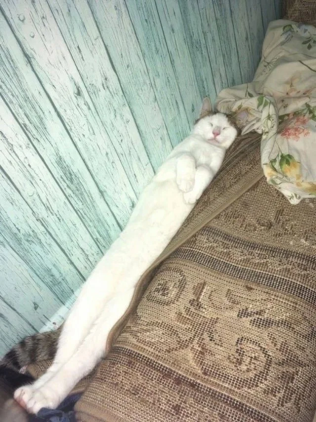 Аткуальные прикольные картинки