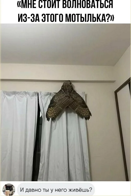 Разные картинки