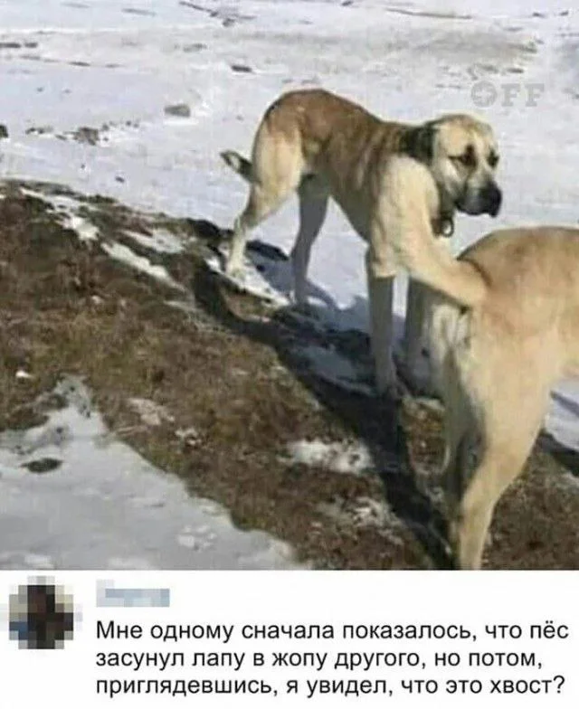 Избранные баяны