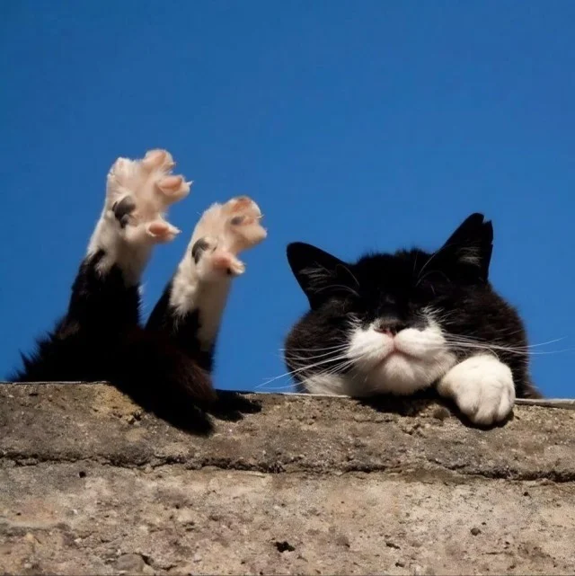 Свежие и смешные картинки