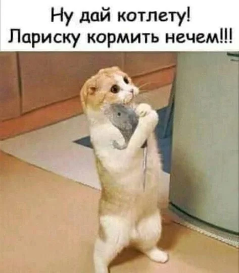 Свежие и смешные картинки