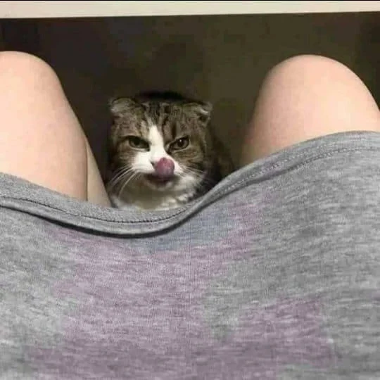 Приколдосные и веселые картинки