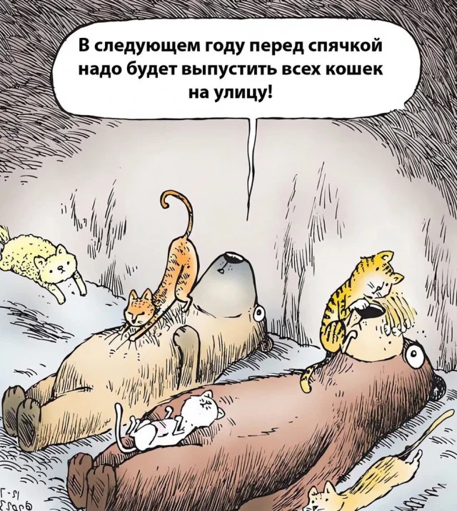 Смешные картинки