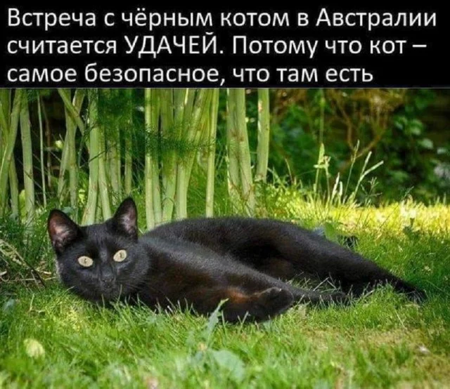 Картинки разные с надписями