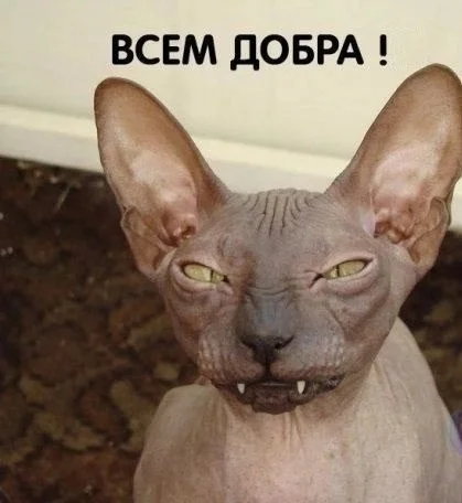 Реально смешные картинки