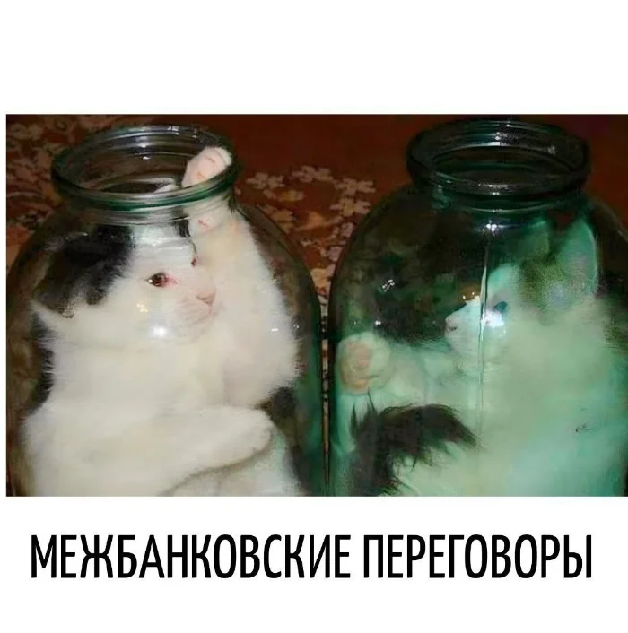 Игра слов #20