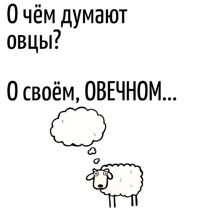 Игра слов #26