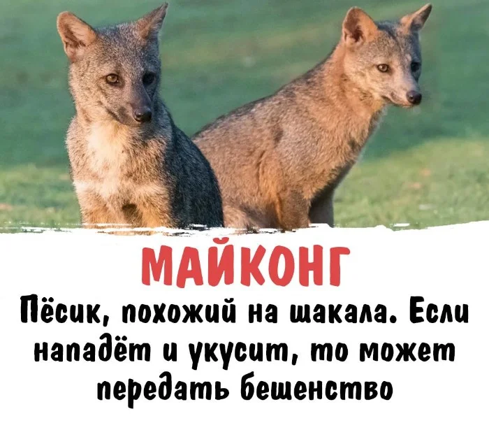 Интересная биология #15