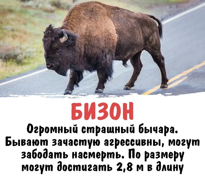 Интересная биология #16