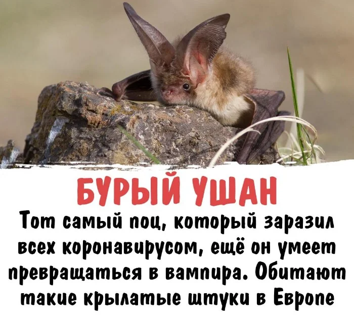 Интересная биология #17