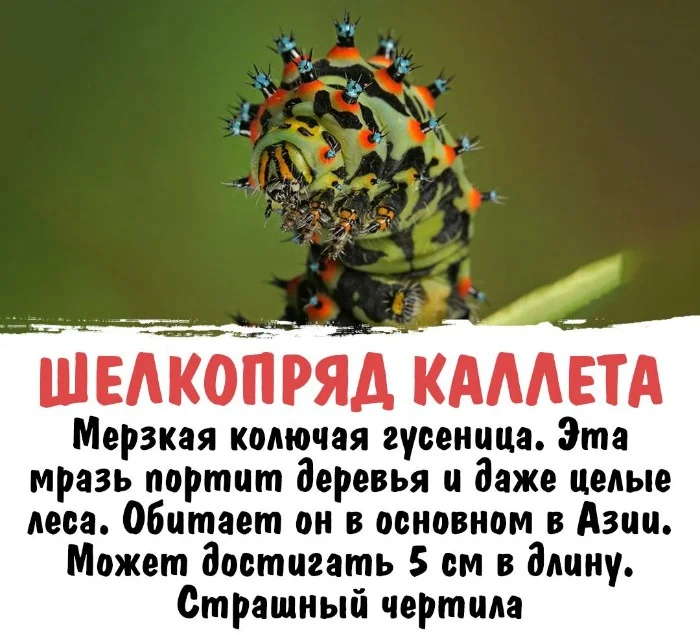 Интересная биология #21