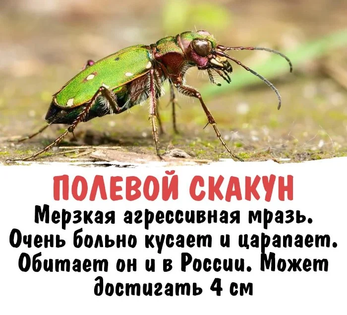 Интересная биология #22