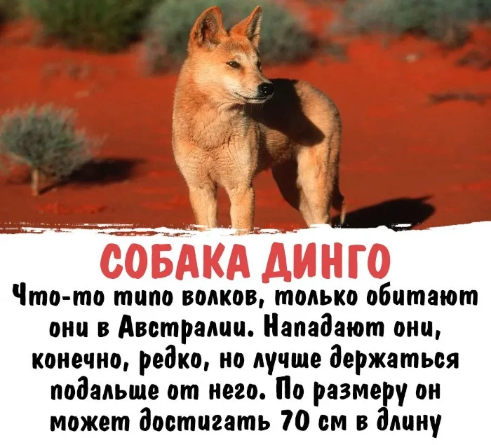 Интересная биология #25