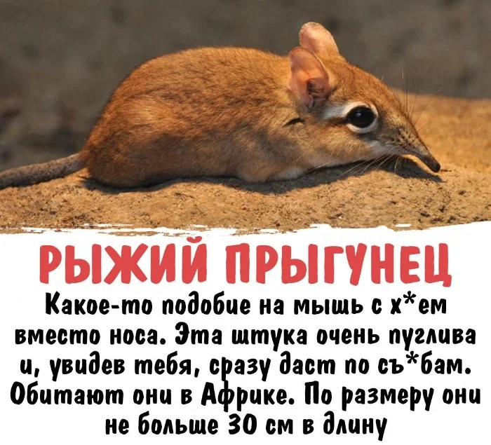 Интересная биология #25