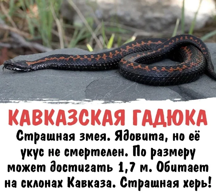 Интересная биология #27