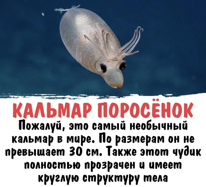 Интересная биология #28