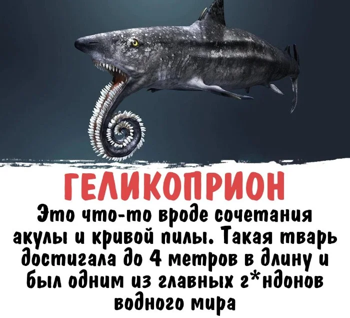 Интересная биология #29