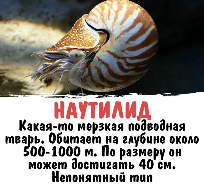 Интересная биология #30