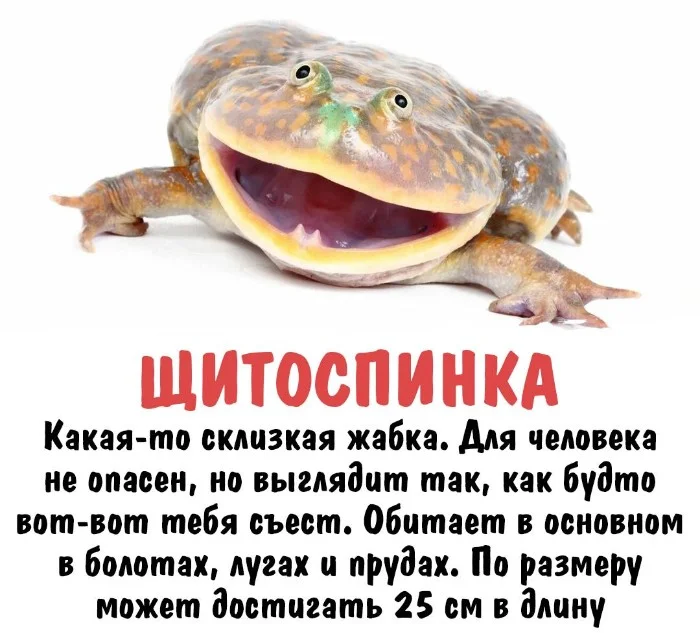 Интересная биология #30