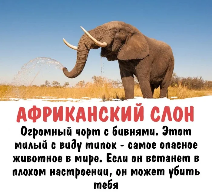 Интересная биология #31