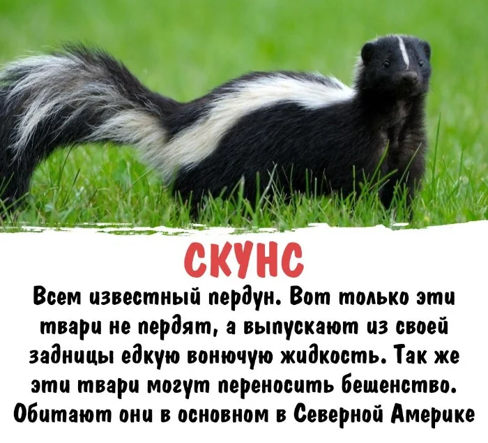 Интересная биология #34