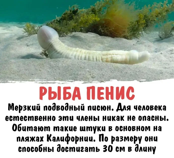 Интересная биология #35