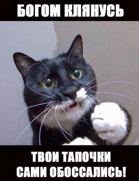 Нестандартный юмор #194