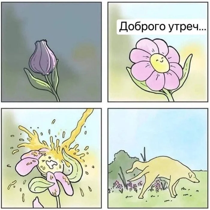 Нестандартный юмор #196