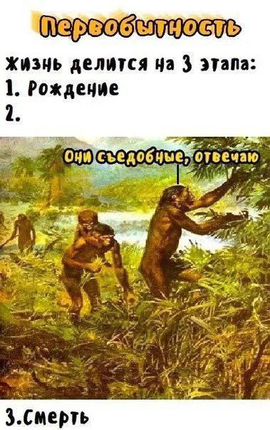 Нестандартный юмор #198