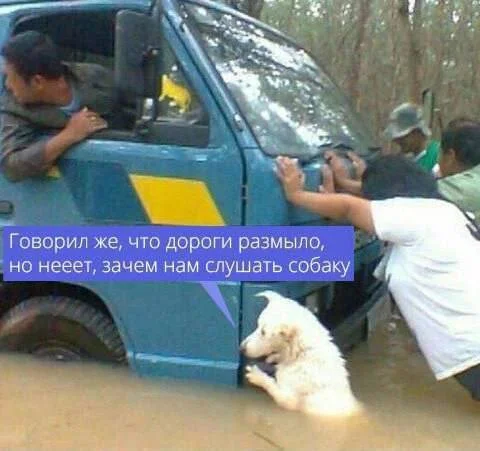 Нестандартный юмор #199