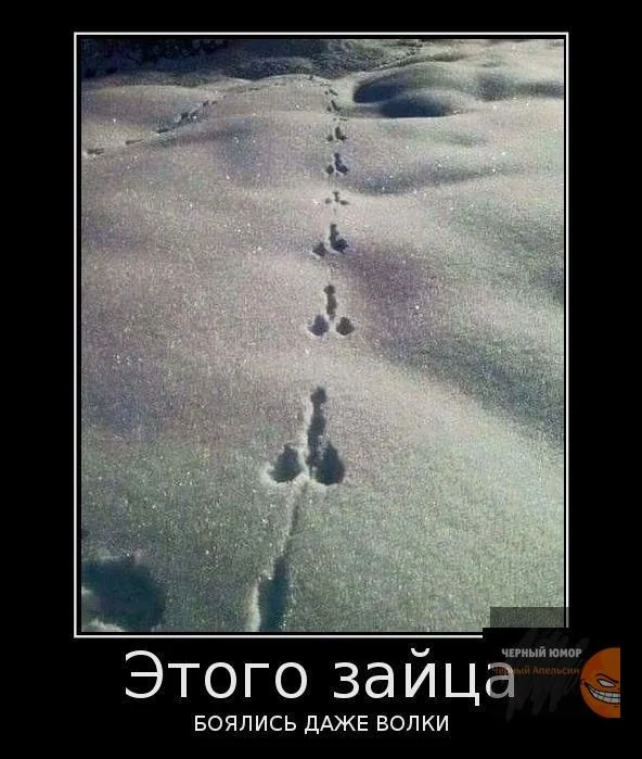 Нестандартный юмор #224