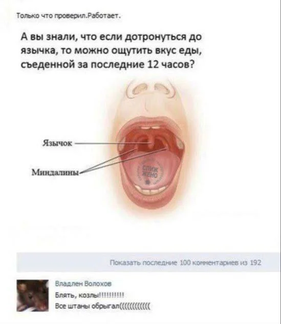 Нестандартный юмор #236