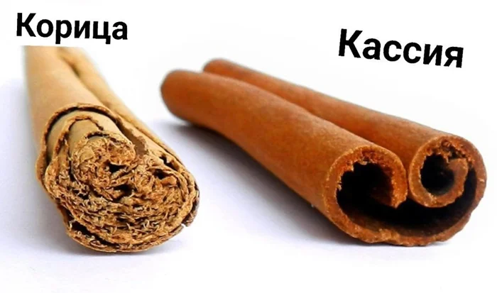 Корица vs кассия: какие между ними различия?