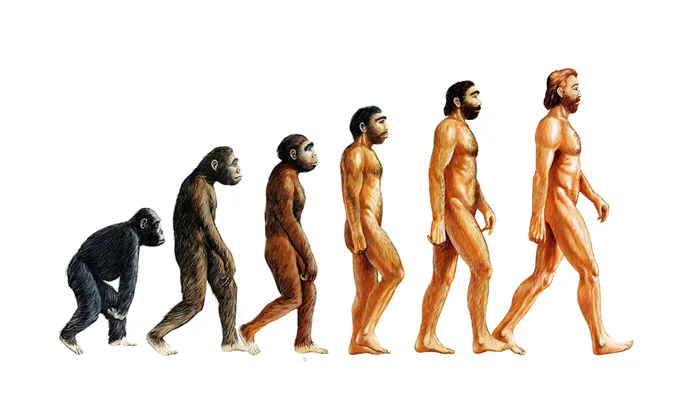 Мифы и заблуждения о жизни первобытного человека